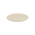 CAC MLJSP-21 Plate, Plastic